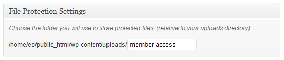 Premise File Protection Settings